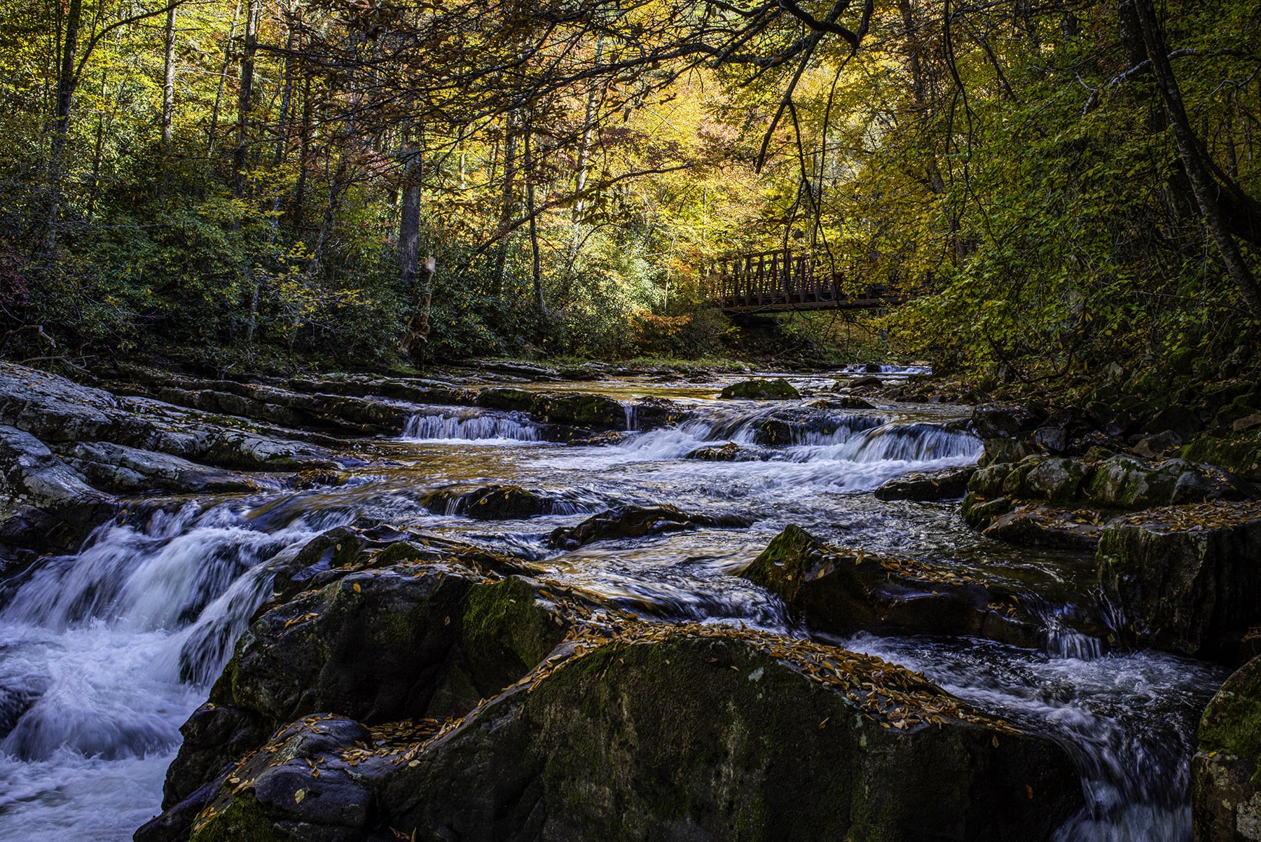 Whitetop Laurel Va Creeper Trail